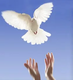 Что такое ответственность -2