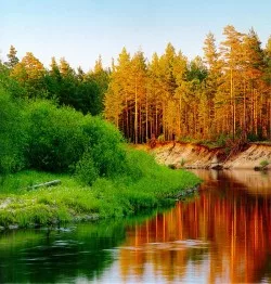 Как восполнить энергию?