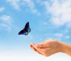 Проявления поведения самооценки