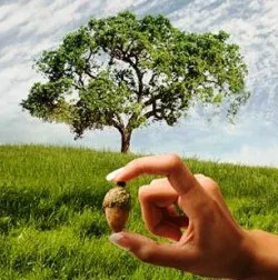 Как отличить психолога-профессионала от шарлатана?