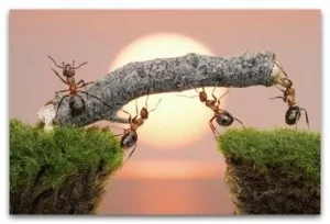 Самоуважение