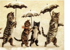 Проблемы отношений между мужчиной и женщиной