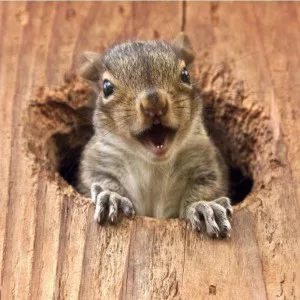 Я не хочу жить в перевернутом мире...