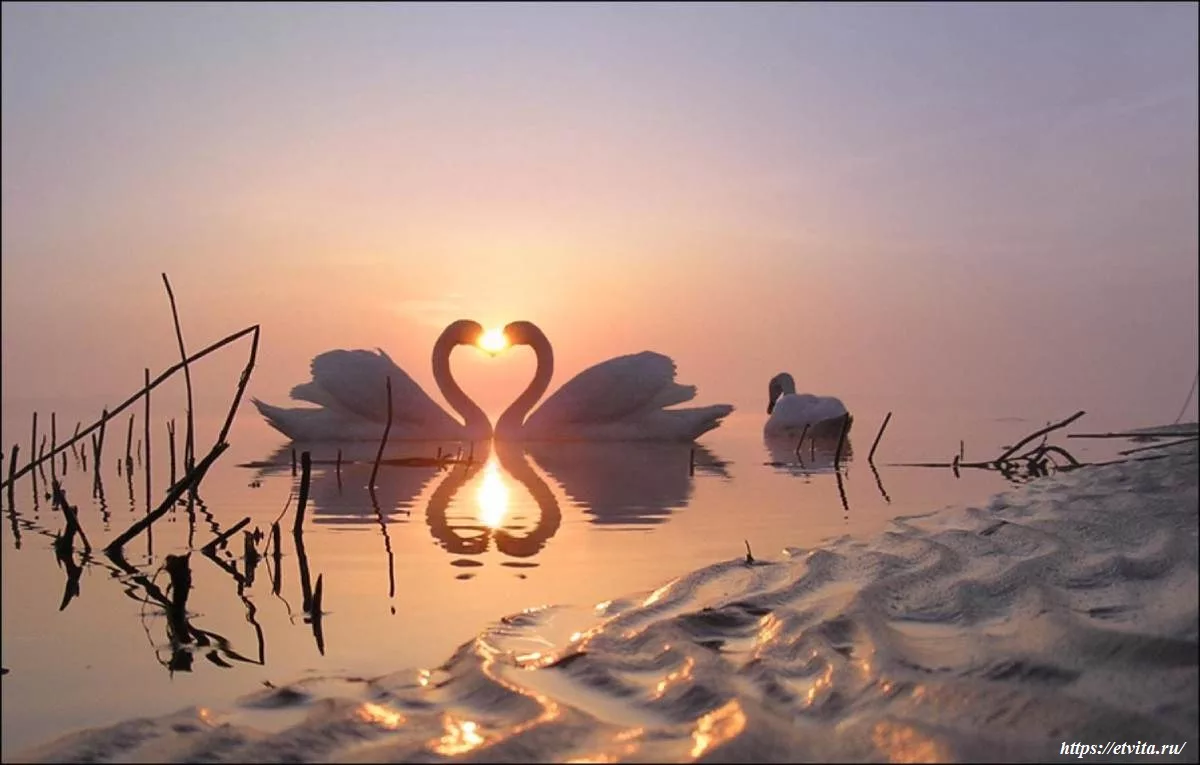 Психология любви